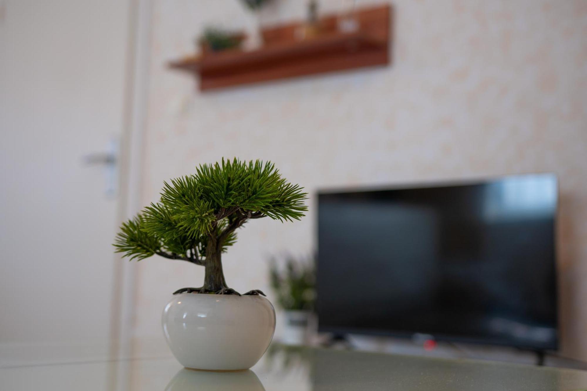 Apartments & Rooms Toni سبليت المظهر الخارجي الصورة